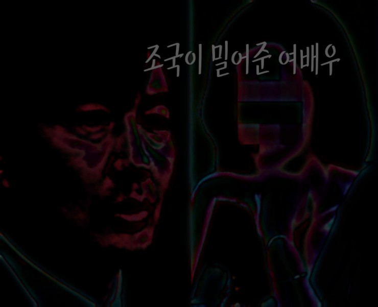  점입가경 조국이야기.가짜뉴스? 여배우 후원논란 증거밝히라는 조국앞에 의혹제기자는  아직 시작도 안했다