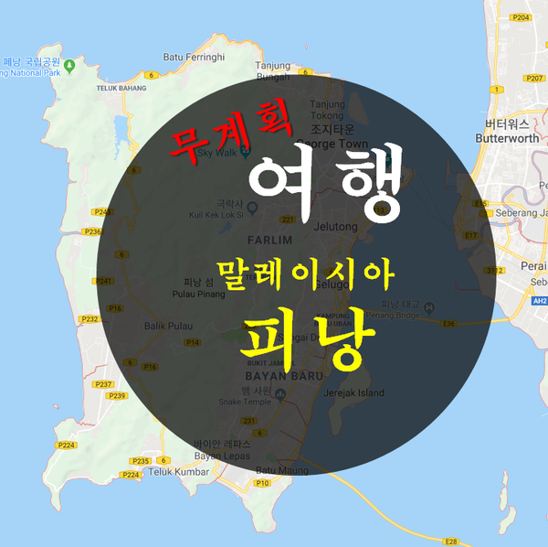  [무계획]피낭, 조지타운 여행
