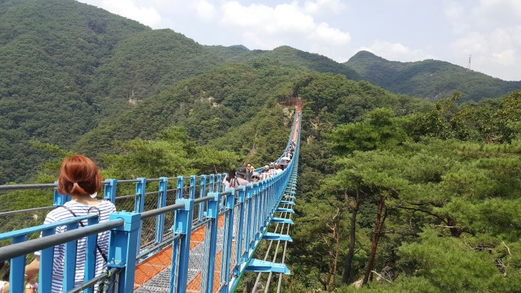  원주 가볼만한 곳, 소금산 출렁다리 다녀왔어요