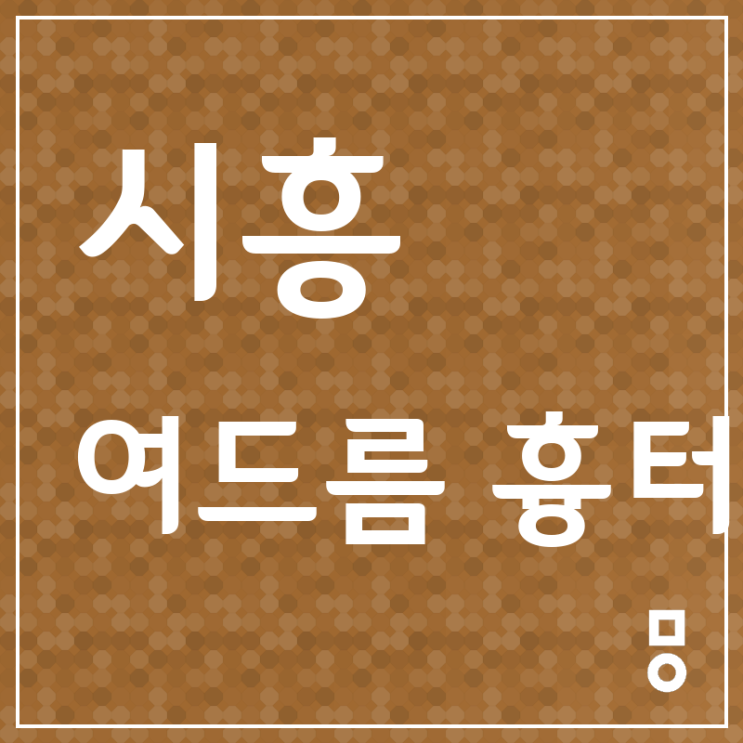  시흥 인천남동구 여드름 흉터 무엇이 문제?