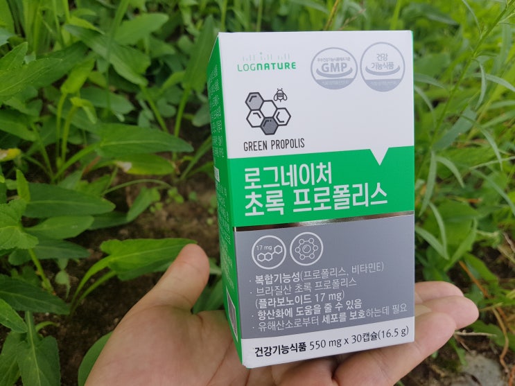  나를 위한 로그네이쳐 초록프로폴리스