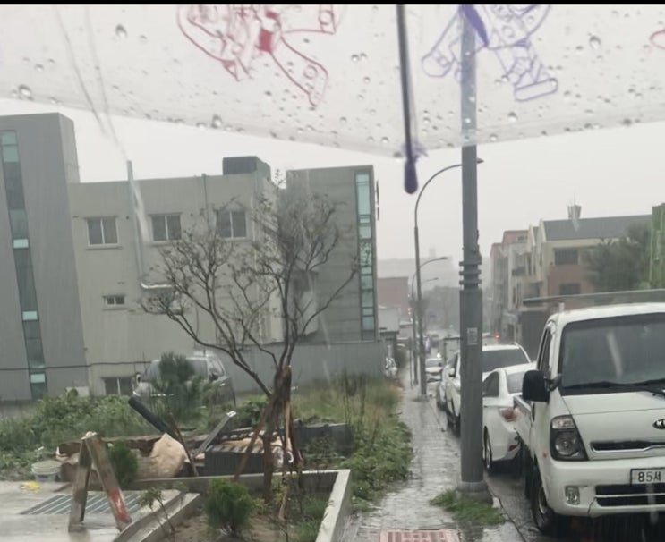  제주국제공항 실시간 운항정보 /현재제주날씨