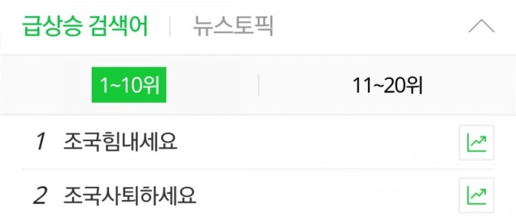  조국 힘내세요 사퇴하세요