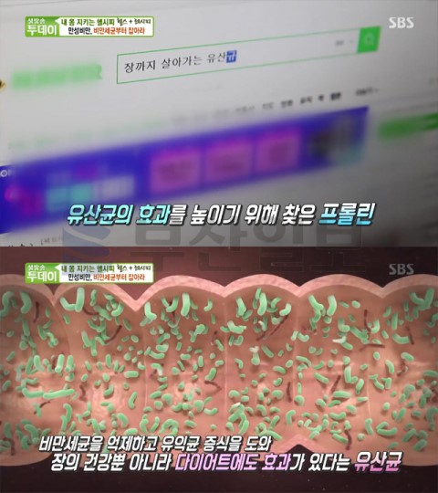 프롤린 유산균 분말, 부작용·효능? 만성비만, 비만세균부터 잡아라…내 몸 지키는 헬시피(생방송투데이) 프롤린 유산균 분말, 부작용·효능? 만성비만, 비만세균부터 잡아라…내 몸 지키는 헬시피(생방송투데이)