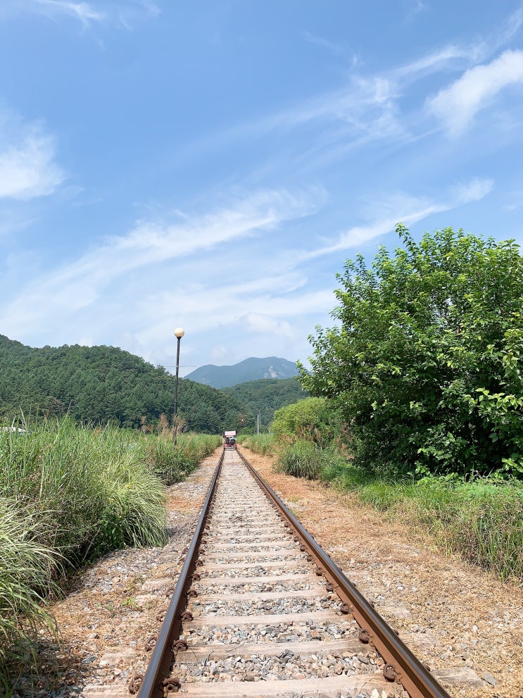  춘천 김유정역 레일바이크 다냐옴