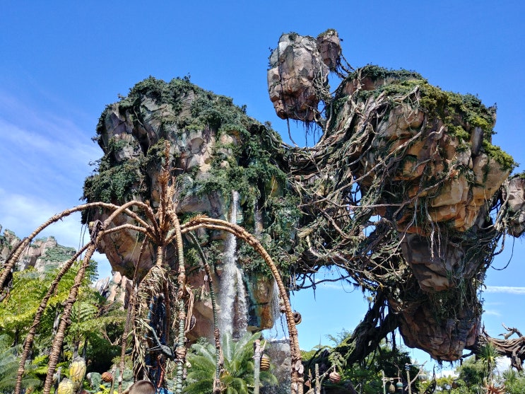  올란도 디즈니월드 타이푼 라군 애니멀 킹덤 Typoon Lagoon Animal Kingdom