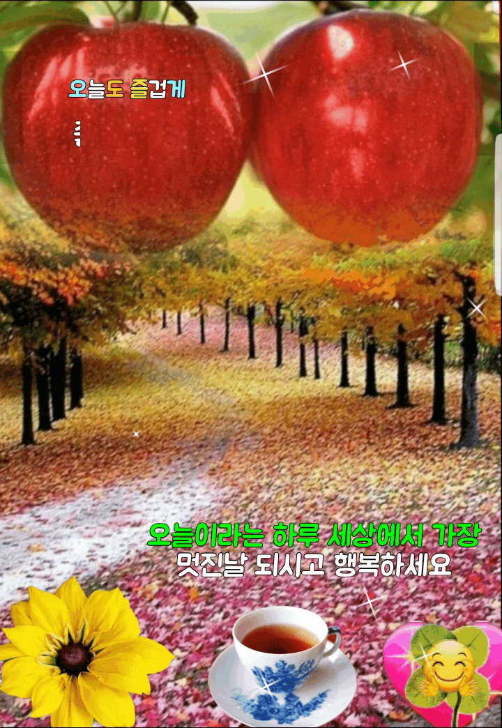  부동산 하면 부광.        건강 지킿이. 부광