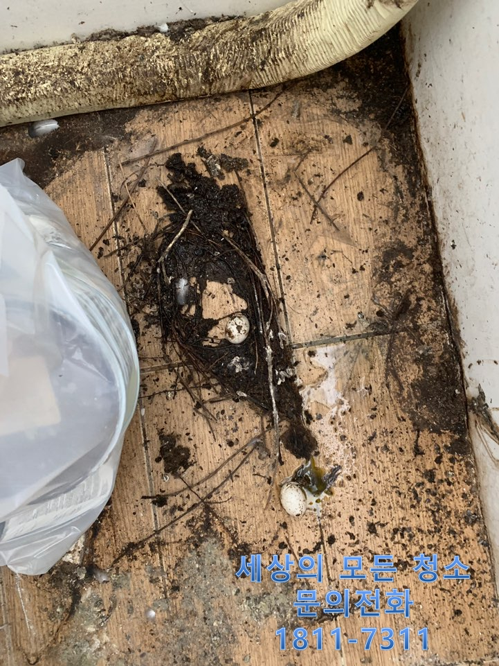  서울 은평구 아파트 실외기실 긴급청소