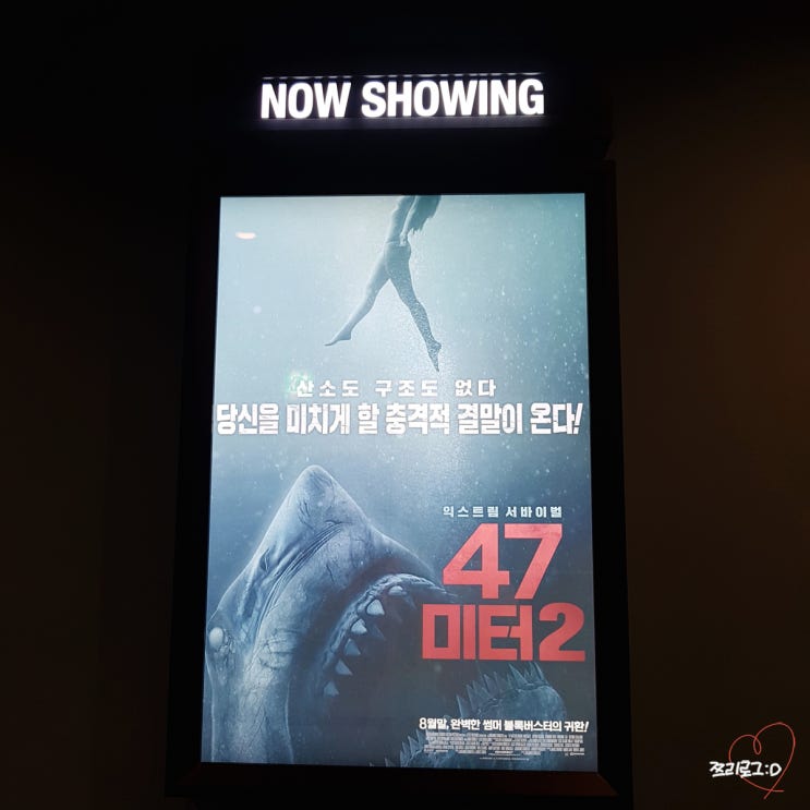  영화 47미터2 후기 (스포주의 쿠키영상 없음)