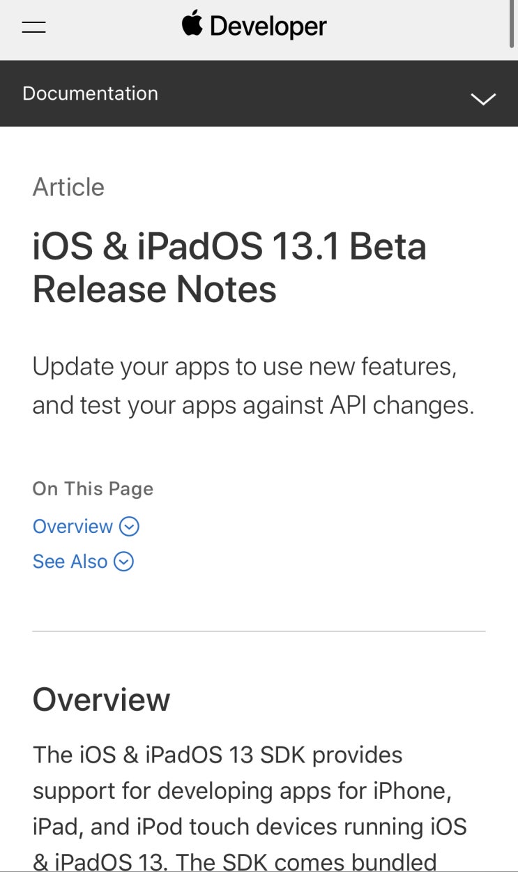 애플이 갑자기 iOS 13.0 베타에서 iOS 13.1 베타로 바로 넘어간 이유