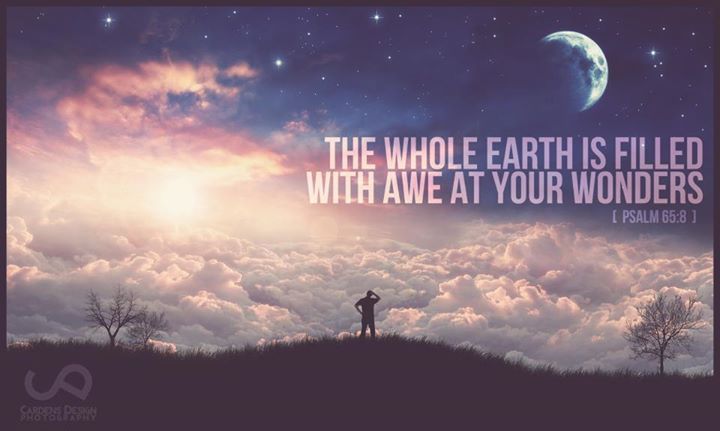  wonder