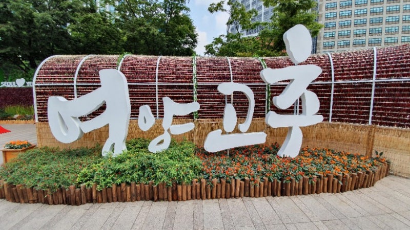 서울시청광장 영양고추축제