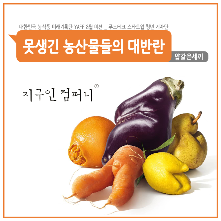  [얍같은세끼] 푸드테크 스타트업 청년 기자단