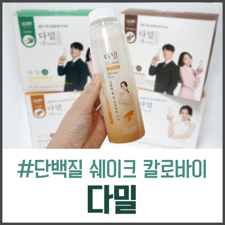  다밀 단백질쉐이크 칼로바이 내 돈 주고 구매해서 먹어본 리얼 후기