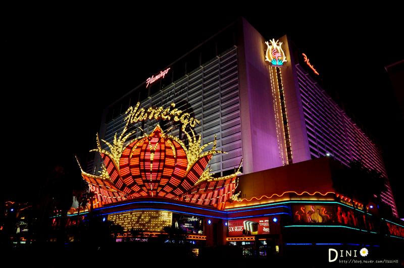 라스베가스 호텔 :: 가성비 좋은 플라밍고 호텔 (Flamingo Las Vegas Hotel) : 네이버 블로그 라스베가스 호텔 :: 가성비 좋은 플라밍고 호텔 (Flamingo Las Vegas Hotel) : 네이버 블로그