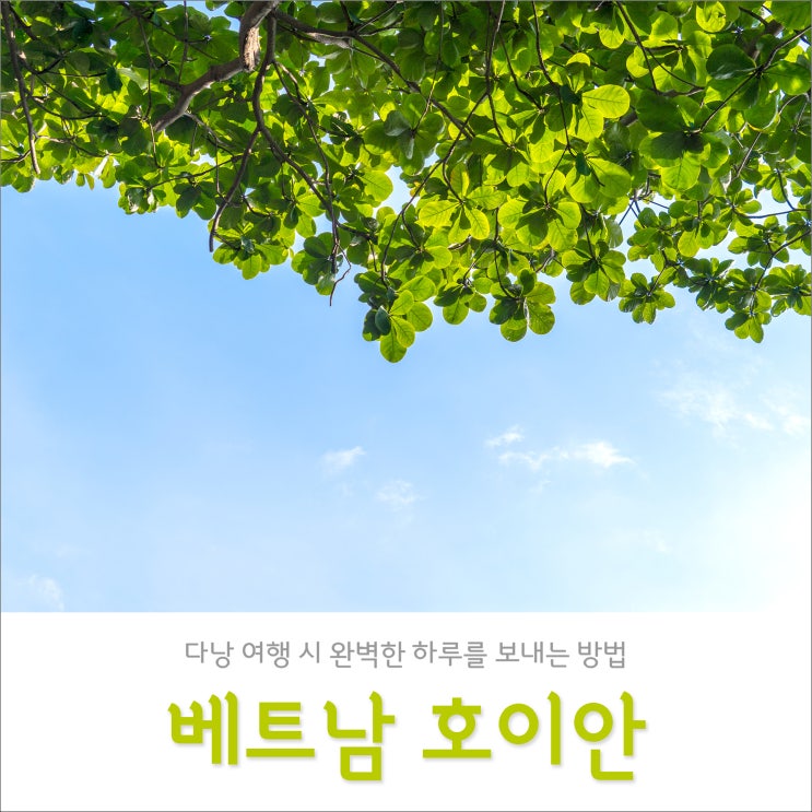 다낭에서 호이안 당일치기 투어 세상 편한 방법 + 공항픽업 무료! 다낭에서 호이안 당일치기 투어 세상 편한 방법 + 공항픽업 무료!