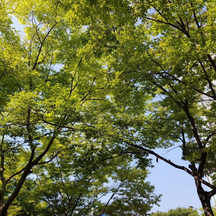  유리에 비친 세상 ｜ 2019 일곱번째 일상