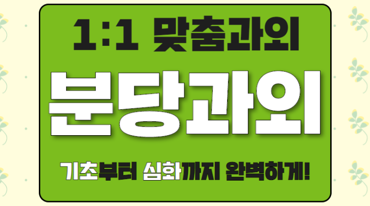  분당 금곡동 영어과외 초등 구미동 초등학생 수학과외 영어시작 독해문법