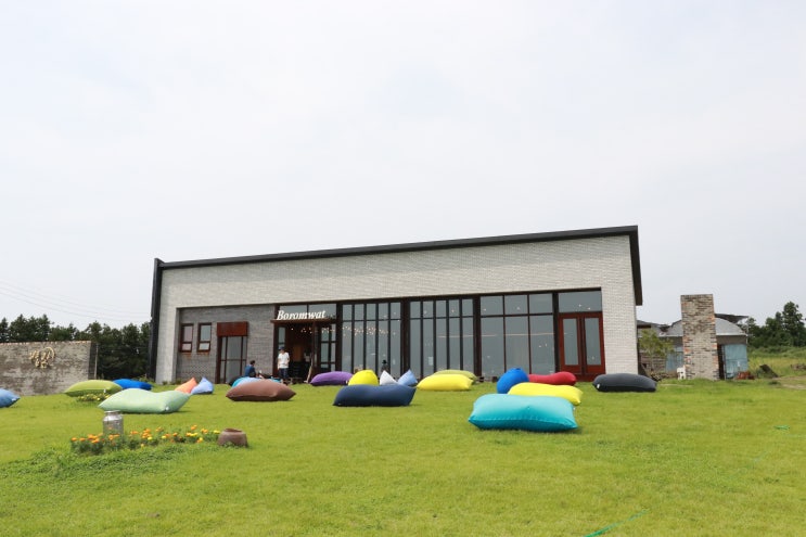  드라마 도깨비 촬영지였던 제주 메밀밭 보름왓