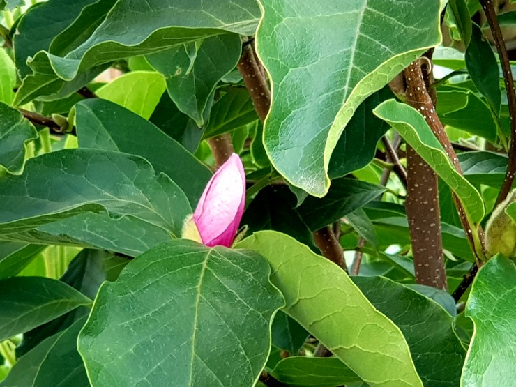  일상 가을이 왔나봅니당 가을맞이 대청소~풍요로워욤^^