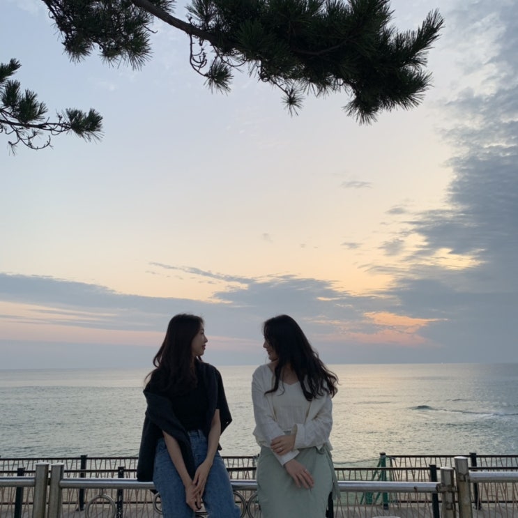  190823) 무박 2일 정동진 기차여행Ⅱ