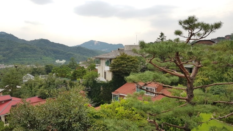  SK 대규모 반도체 단지 개발로 금싸라기 땅 수용 