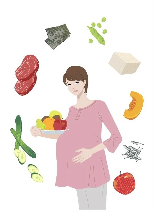 유아치과정보 임신중 비타민D 섭취는 치아가 건강한 아기가 태어납니다