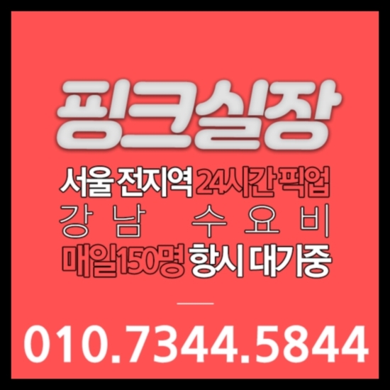  수요비 심심하면 언능왕
