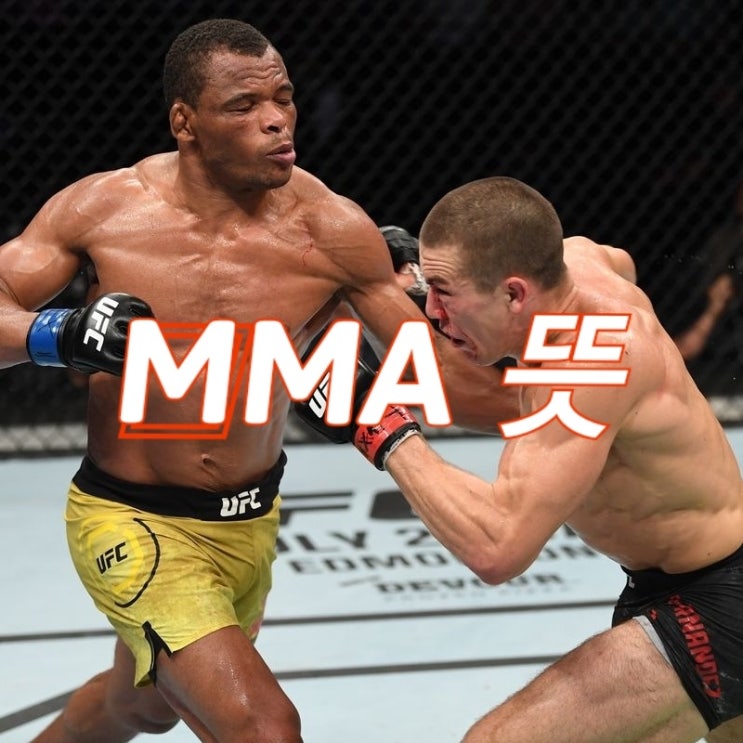  MMA 뜻 대표 단체부터 찬찬히 알려드려요