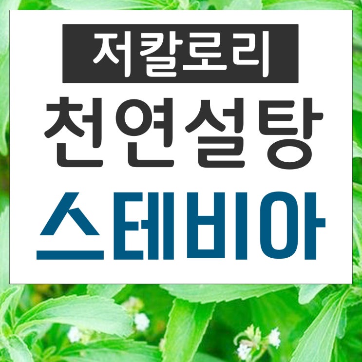  스테비아 효능과 파는곳, 스태비아로 설탕대체 하세요.