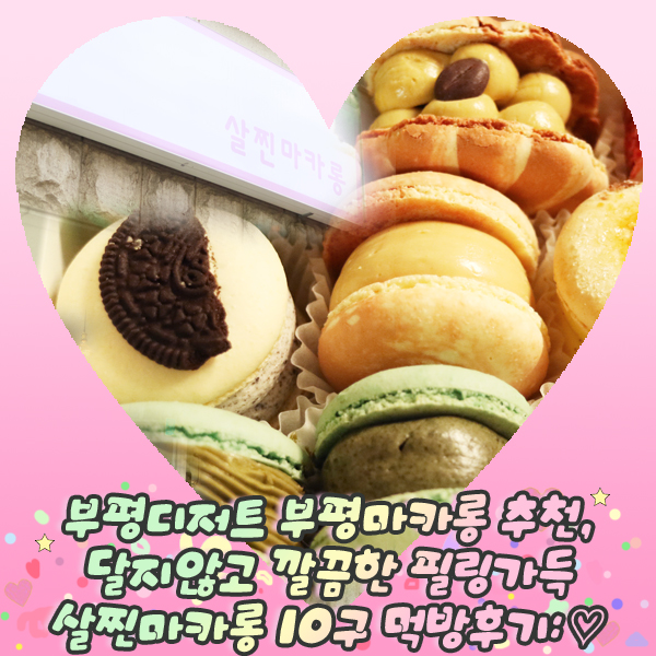  부평디저트 부평마카롱 추천, 달지않고 깔끔한 필링가득 살찐마카롱 10구 먹방후기:
