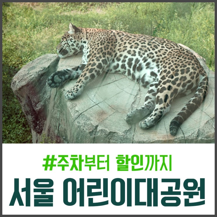 서울 어린이대공원 동물원과 놀이동산 주차부터 할인까지