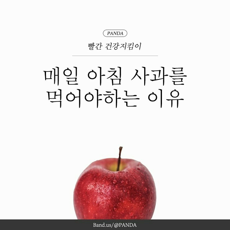 매일 아침 사과를 먹어야하는 이유