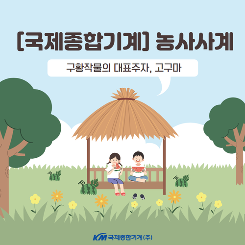  [국제기계 FARM STORY] 구황작물의 대표주자, 고구마