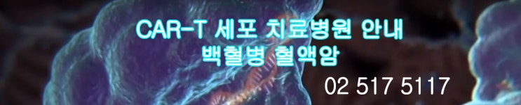  급성 림프성 백혈병 신약정보