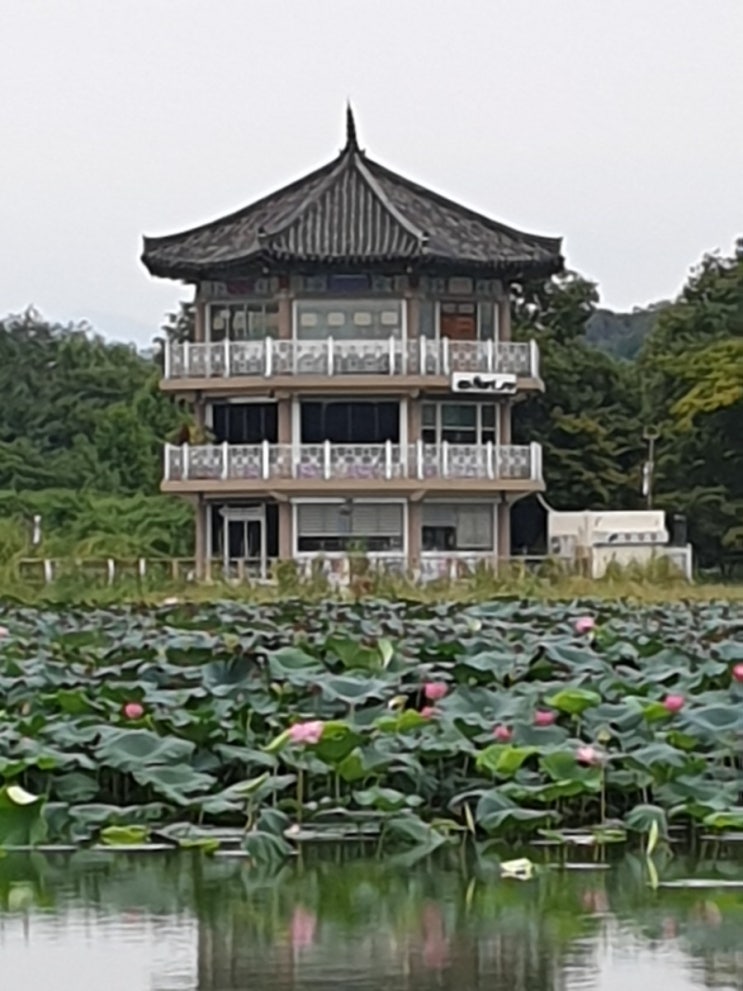  전주 가볼만한 곳, 덕진공원 산책