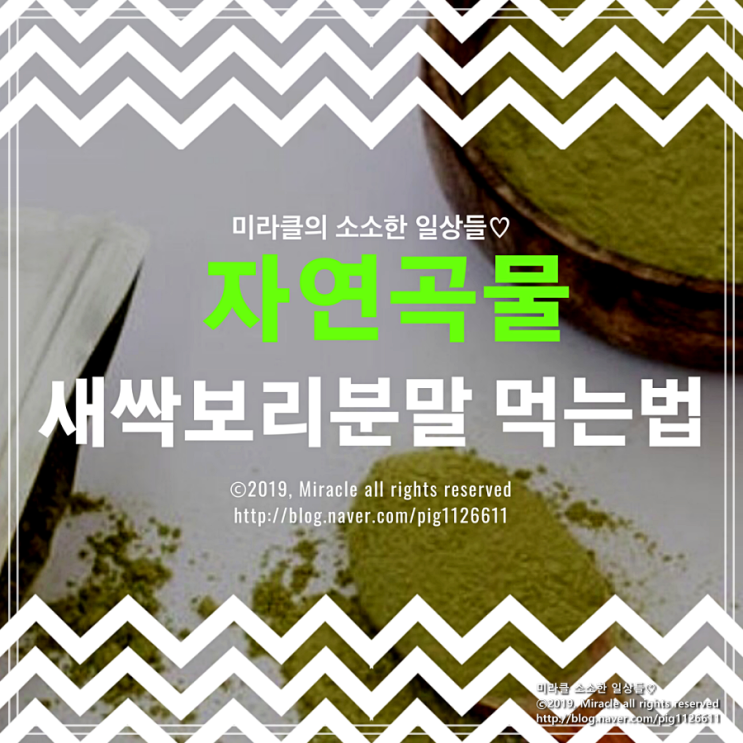  [새싹보리분말 먹는법] 자연곡물, 영양이 가득한 새싹보리를 챙겨 먹고 있어요!
