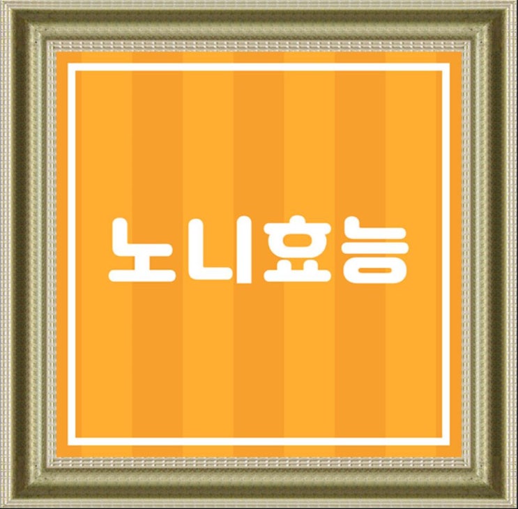  노니원액 추천, 쥬스 효능 ＆ 주스 먹는법 설명