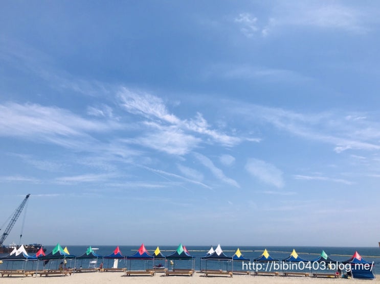  [경주/포항/영덕/울진] 2019 경북여행 : 황리단길, 문무대왕릉, 호미곶, 태화식당