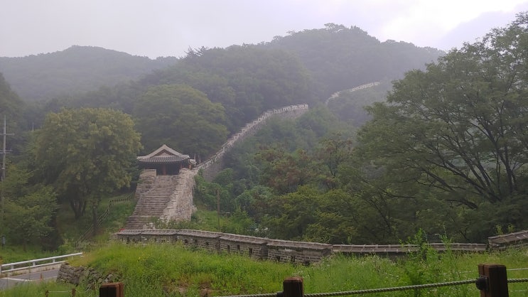 남한산성 동문에서 벌봉 제4암문 북암문 야생화 탐사 8월 28일 남한산성 동문에서 벌봉 제4암문 북암문 야생화 탐사 8월 28일