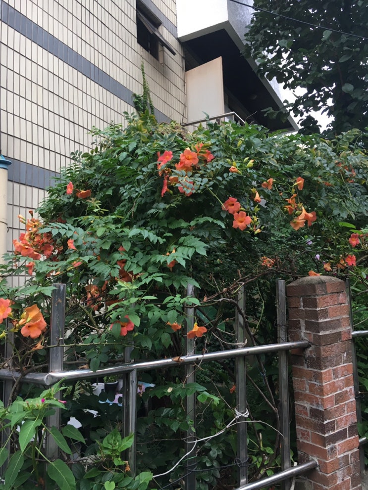  지민이언니만난날, 윤유월커피, 갈비찜, 뿌링클, 치즈케이크, 해장국, 더위사냥