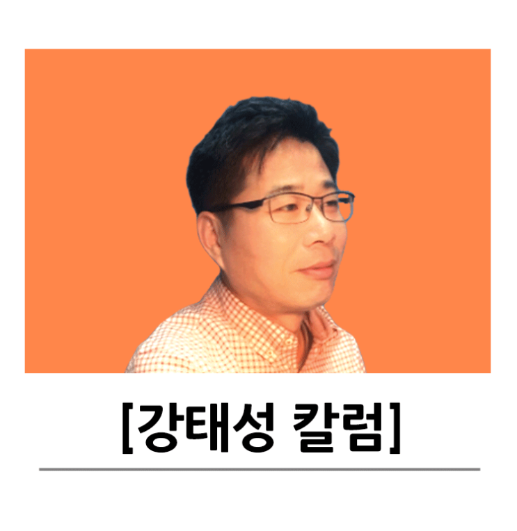  [부산경마] 출전 예정 신마