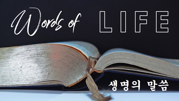  인생을 망치는 4가지 함정
