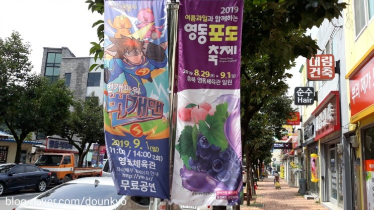  2019 영동포도축제가 열리고 있어요 (2019.8/29~9/1)