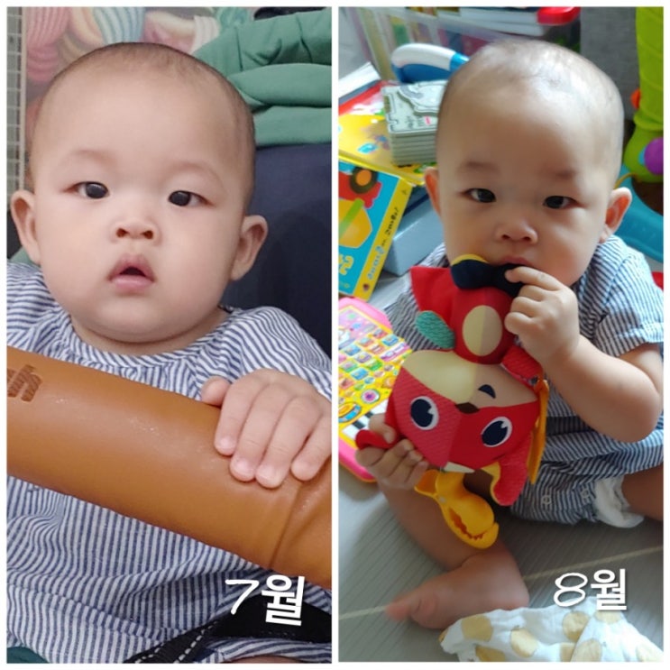  8개월 아기 발달 정리