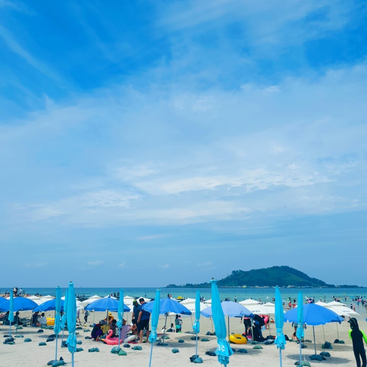  [제주] 버스투어와 함께한 제주도 뚜벅이 여행 Part.1