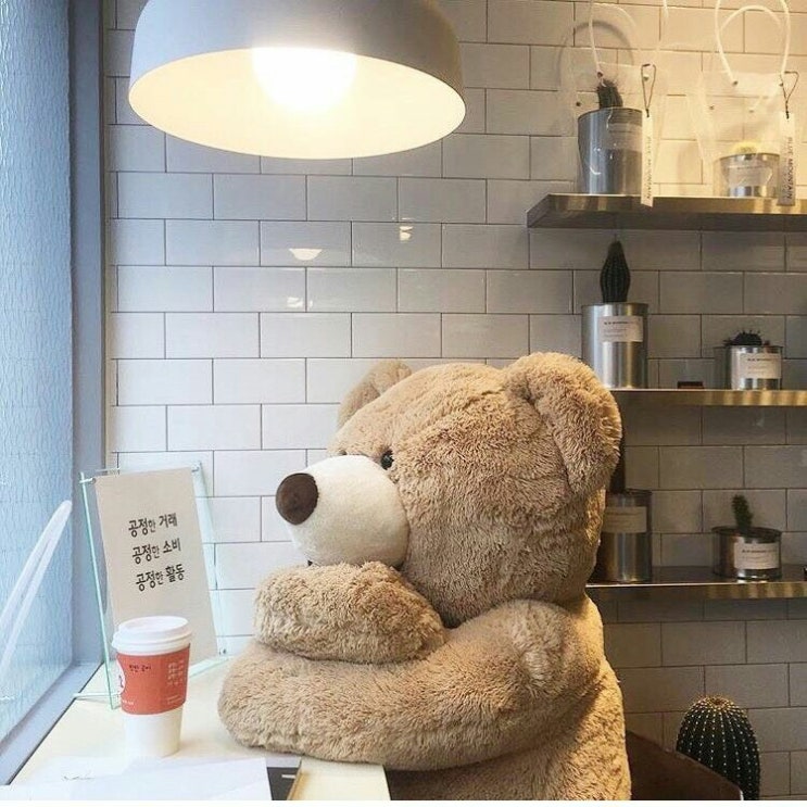  가을이 오면 정말 잘 보낼 자신 있는데