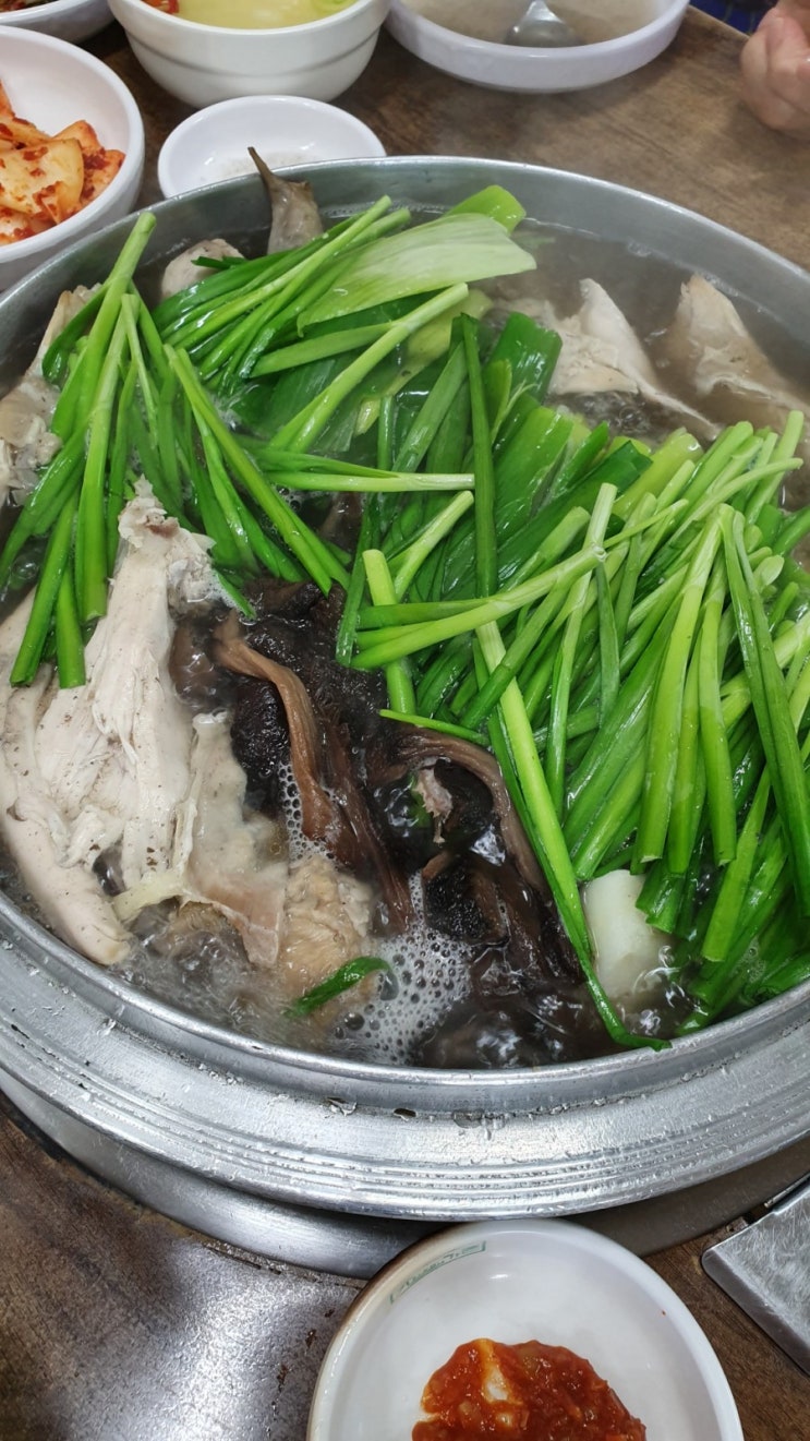  일산 능이버섯백숙 삼계탕 닭곰탕 깔끔한맛 보양식