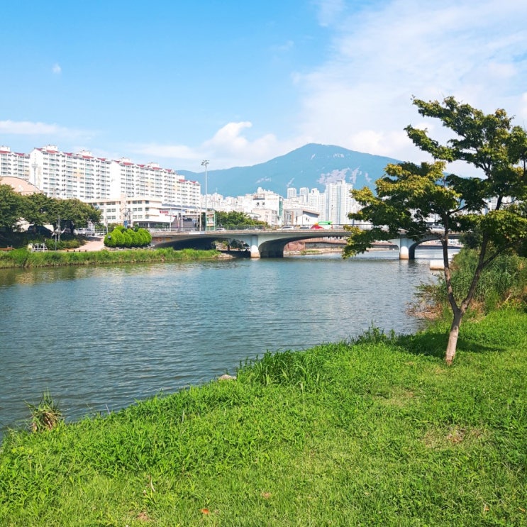  19.8.26-28 돈없어서 강제 잉여삶살기