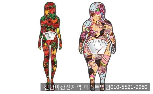  천안 아산 싱크대막힘 / 의사들도 인정한 최고의 다이어트 방법 '8:2법칙'